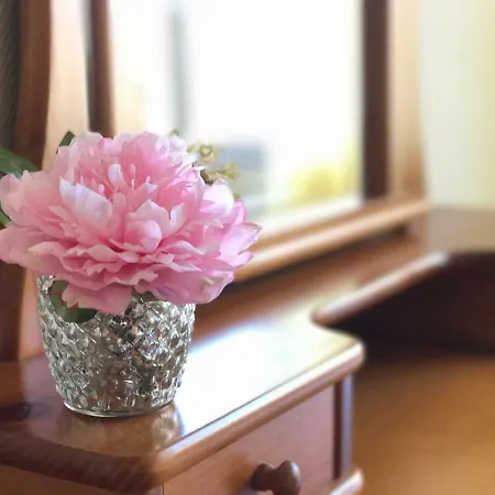 Les Bovetes 公寓 德尼亚