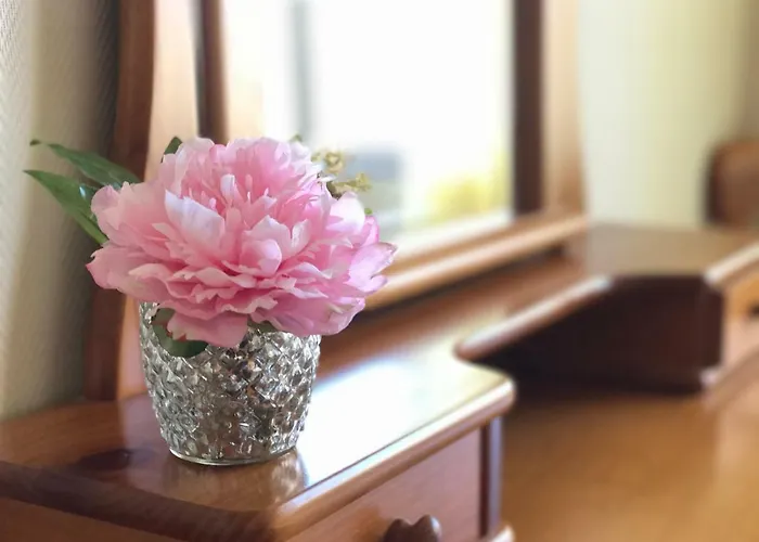 Les Bovetes 公寓 德尼亚